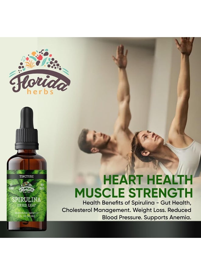 FLORIDA HERBS Spirulina Tincture, Organic Spirulina Extract (Arthrospira Platensis) Herbal Supplement, Non-GMO in Cold-Pressed Organic Vegetable Glycerin, 700 mg, 2 oz (60 ml)