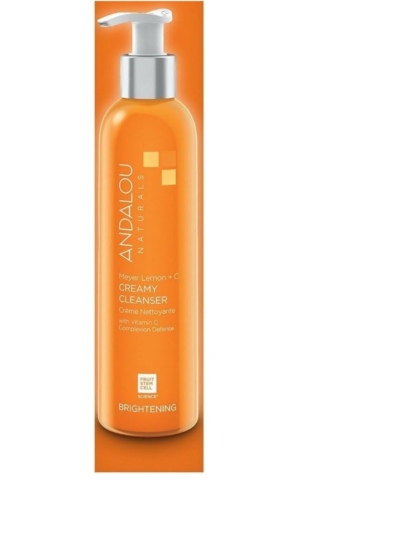 Andalou Naturals Meyer Creamy Cleanser, Lemon 6 oz (Pack of 3)