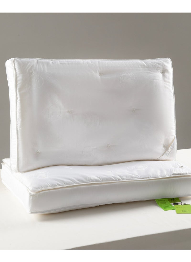 Royal Silk Pillow