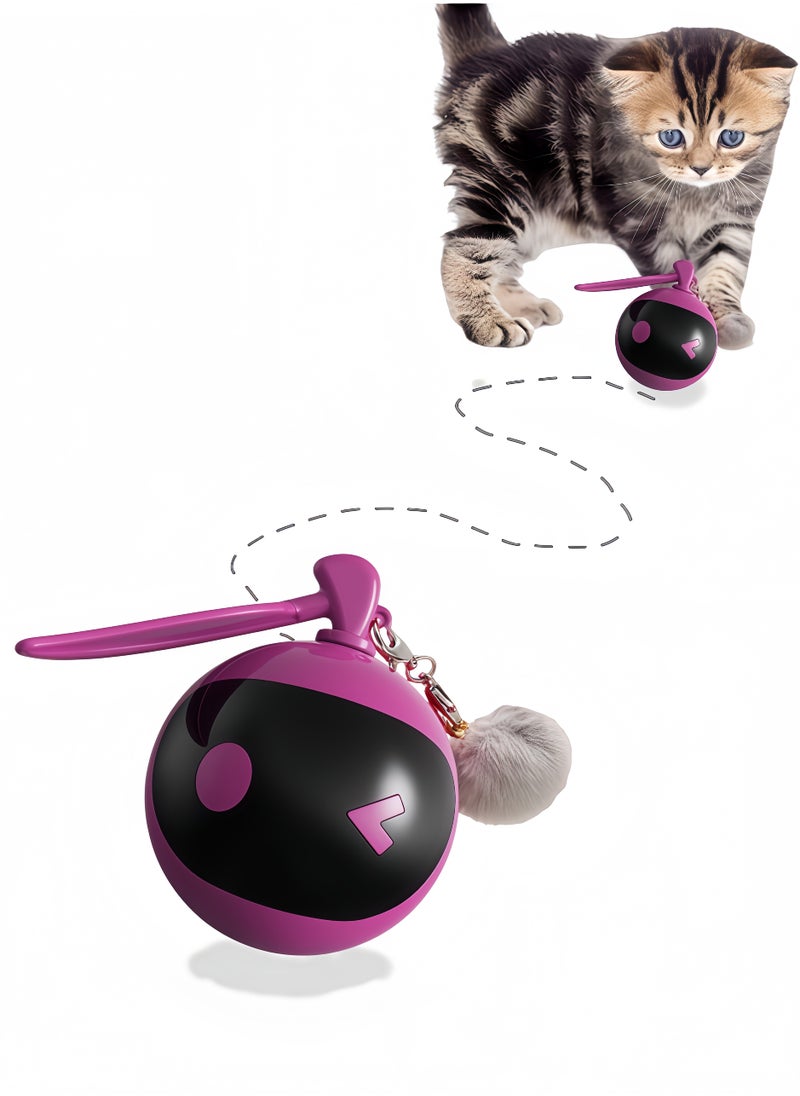 Interactive Cat Toy for kids to Play with Cats, Self-Rolling Cat Ball Toy, USB Rechargeable