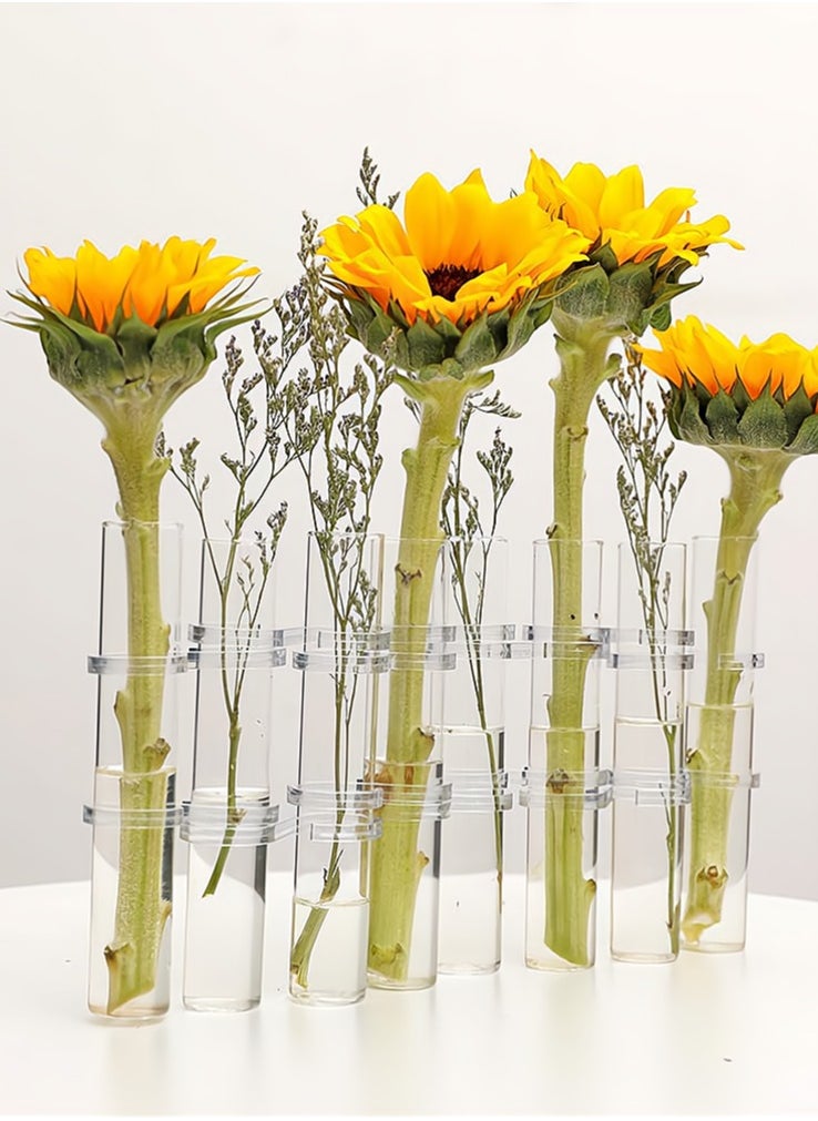 Test Tube Vase, Glass Flower Vases Hydroponic Glass Vase Desktop Plant Terrarium Planter 18x3CM