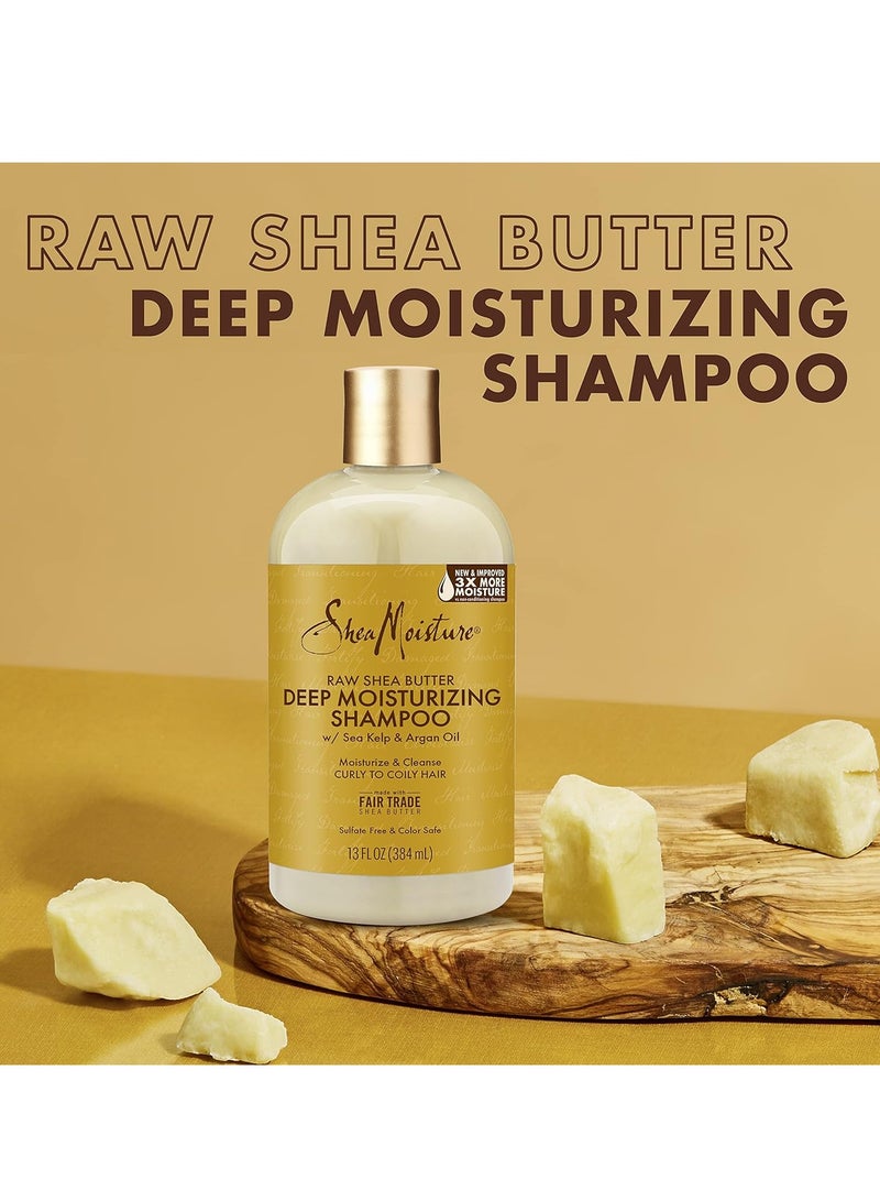 Raw Shea Butter Shampoo and Conditioner Set, Deep Moisturizing with Sea Kelp & Argan Oil, Sulfate Free & Silicone Free, Curly Hair Products, Family Size, 13 Fl Oz (Pack of 2)