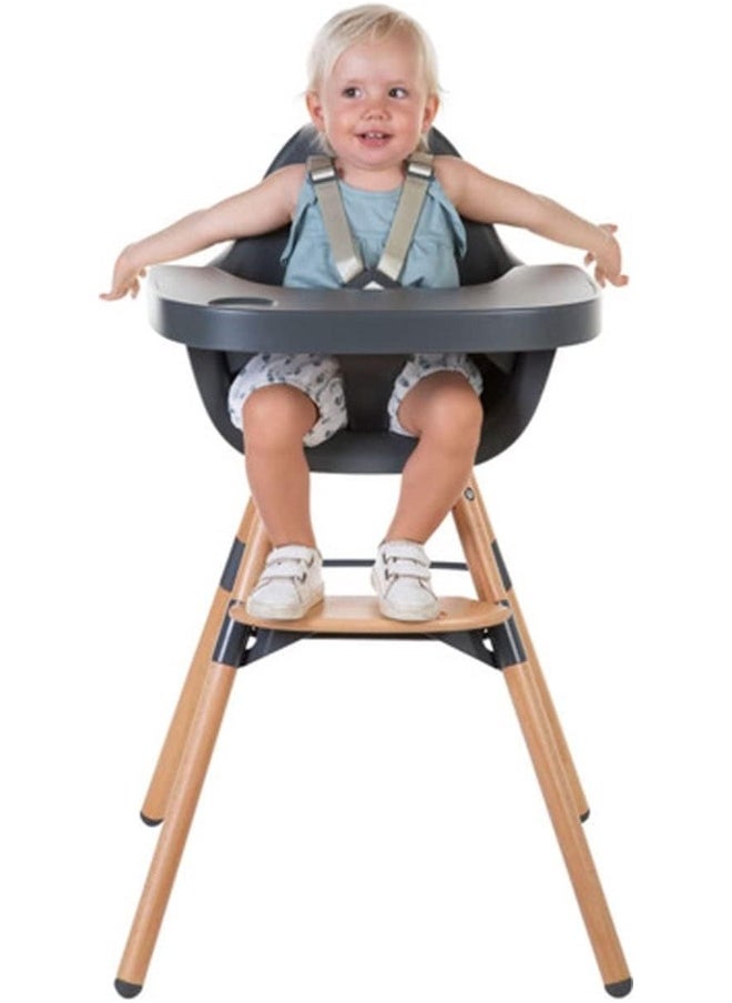 Childhome, Baby/Child High Chair, Evolutive, From 6 Months Up To 6 Years, Height Adjustable, 5 Point Harness, Many Accessories, Compatible With Evolu Baby Newborn Seat, Beechwood, Evolu 2, Charcoal