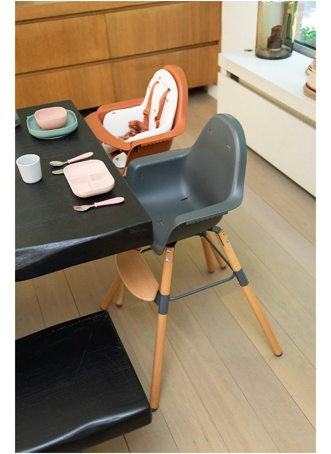 Childhome, Baby/Child High Chair, Evolutive, From 6 Months Up To 6 Years, Height Adjustable, 5 Point Harness, Many Accessories, Compatible With Evolu Baby Newborn Seat, Beechwood, Evolu 2, Charcoal