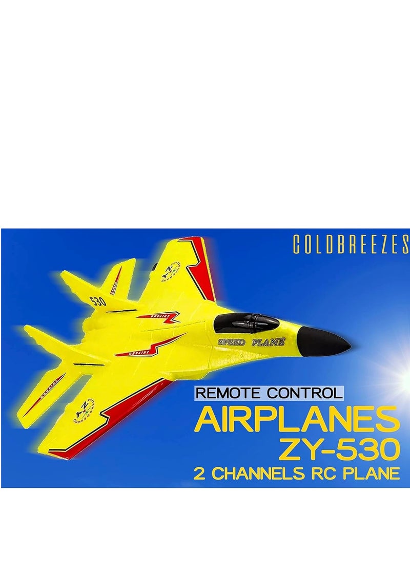 2CH RC Plane – Remote Control Airplane for Kids & Adults, 2.4GHz Jet Plane with Night Light, Easy-to-Fly RC Airplane Toy for Beginners, Durable EPP Foam, Indoor & Outdoor Flying Toy for Boys 8-12