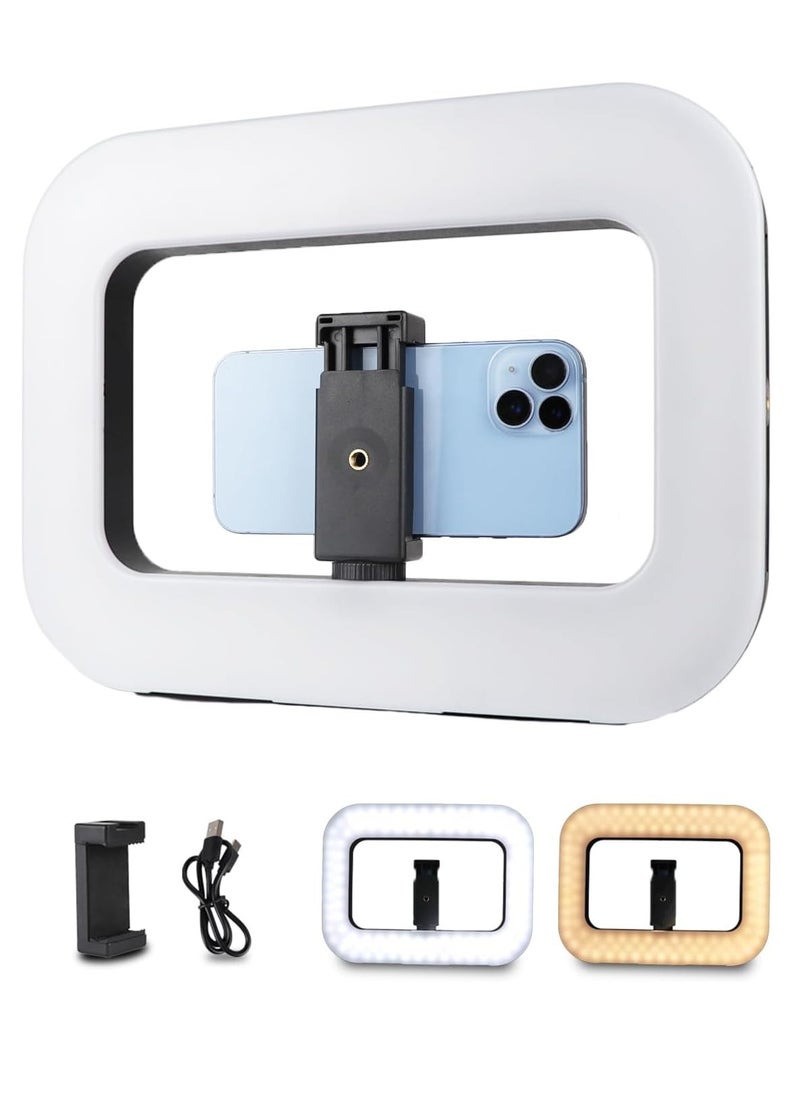 ZGRL-02 Rechargeable Handheld Square LED Video Light 20W, 8000mAh Battery, 2500K–6500K, CRI 95+, Type-C Fast Charge, Bluetooth Remote for Camera & Smartphone