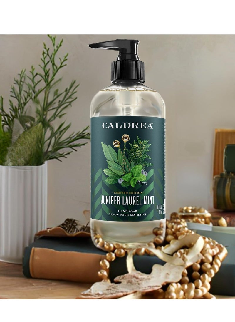 Caldrea Hand Wash Soap, Aloe Vera Gel, Olive Oil and Essential Oils to Cleanse and Condition, Juniper Laurel Mint Scent, 10.8 oz