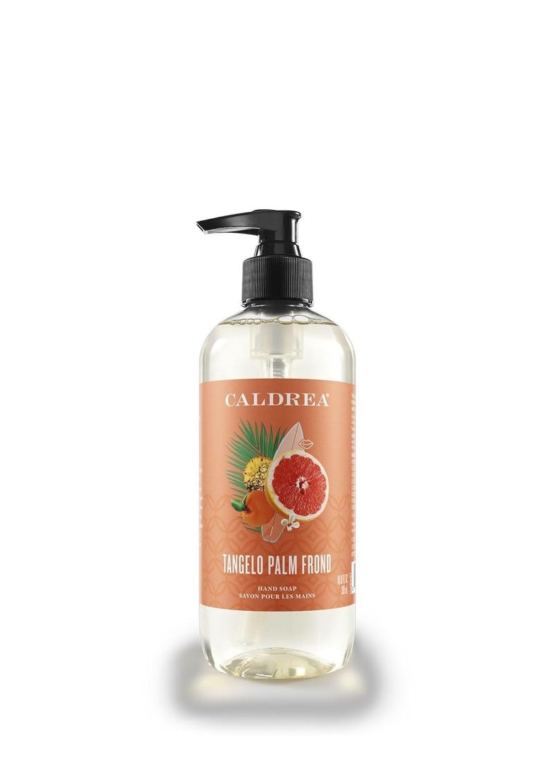 Caldrea Hand Wash Soap, Aloe Vera Gel, Olive Oil and Essential Oils to Cleanse and Condition, Scent, Tangelo Palm Frond 10.8 Fl Oz