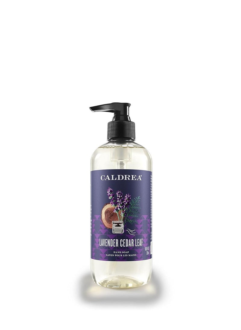 Caldrea Hand Wash Soap, Aloe Vera Gel, Olive Oil And Essential Oils To Cleanse And Condition, Lavender Cedar Leaf Scent, 10.8 Oz