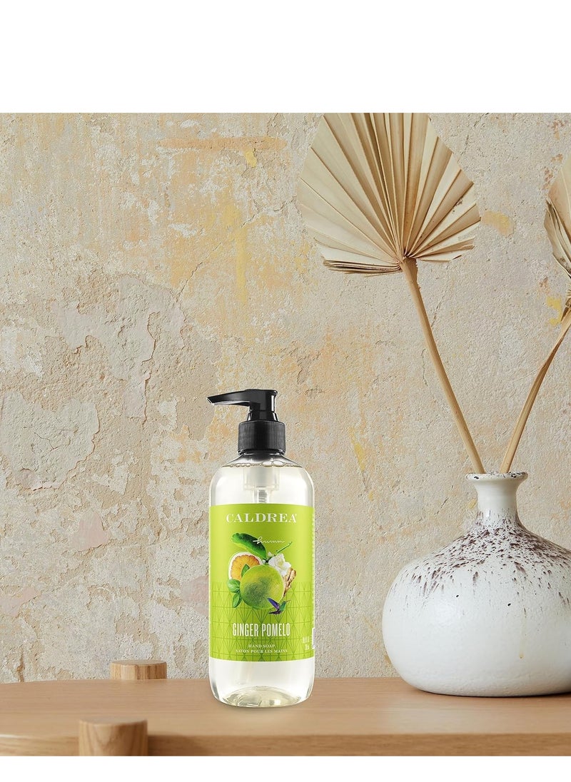 Caldrea Hand Wash Soap, Aloe Vera Gel, Olive Oil and Essential Oils to Cleanse and Condition, Ginger Pomelo Scent, 10.8 oz (Packaging May Vary)