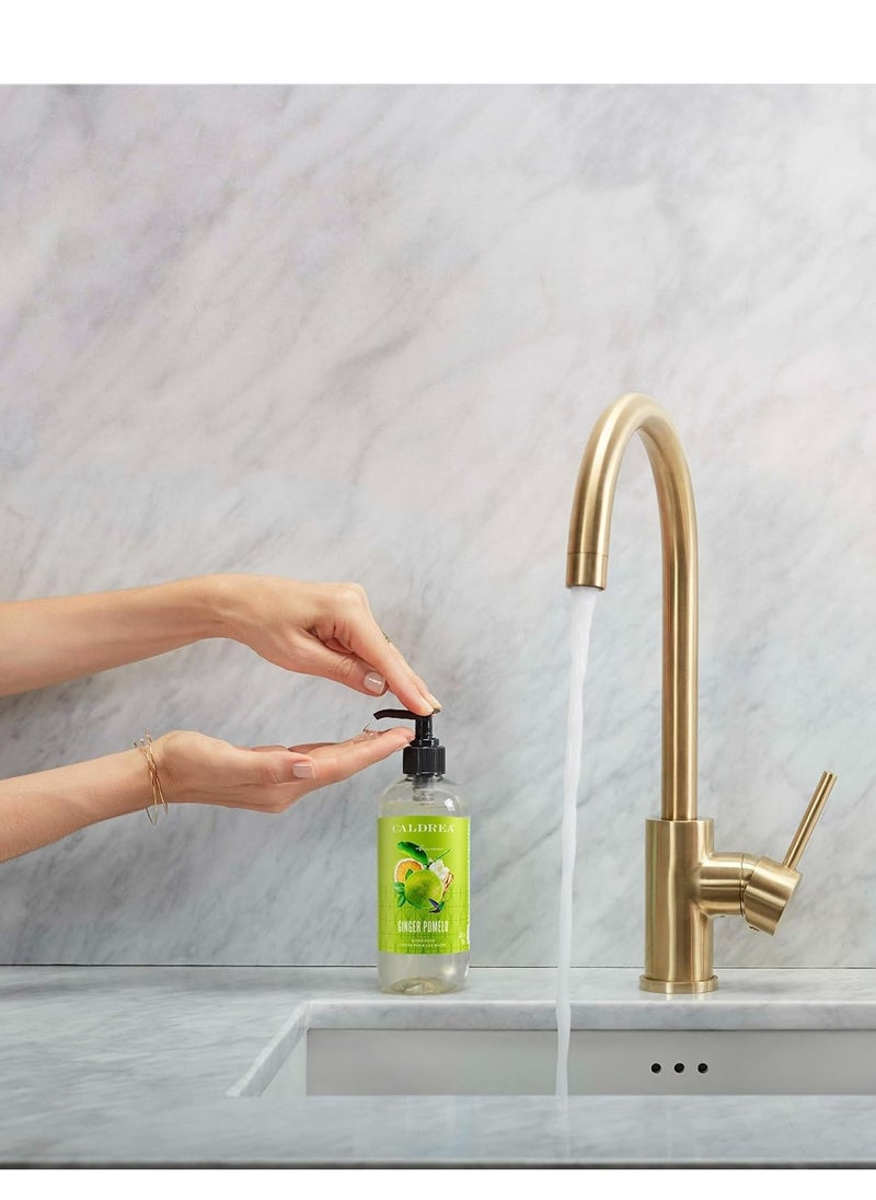 Caldrea Hand Wash Soap, Aloe Vera Gel, Olive Oil and Essential Oils to Cleanse and Condition, Ginger Pomelo Scent, 10.8 oz (Packaging May Vary)