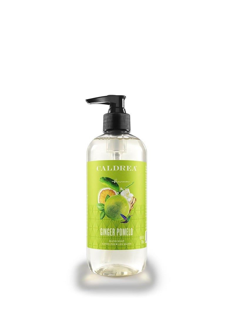 Caldrea Hand Wash Soap, Aloe Vera Gel, Olive Oil and Essential Oils to Cleanse and Condition, Ginger Pomelo Scent, 10.8 oz (Packaging May Vary)