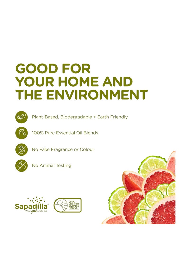 Sapadilla Grapefruit + Bergamot Biodegradable Liquid Hand Soap Pump, 12 Ounce, (Pack of 1)