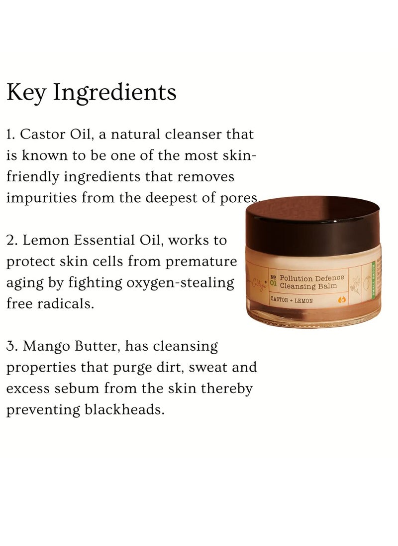 Pollution Defense Cleansing Balm