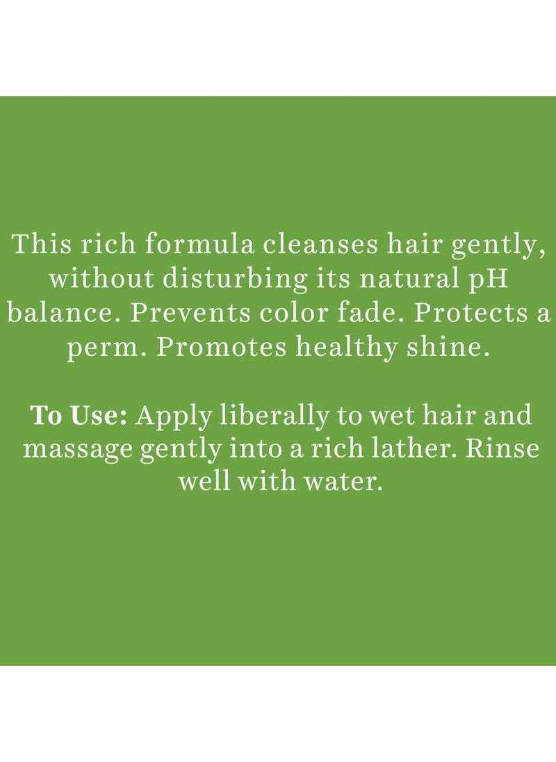 Soya Protein Shampoo Repairs Dry Damaged Hair pH Balance Shiny Hair Prevents Color Fading 340ml