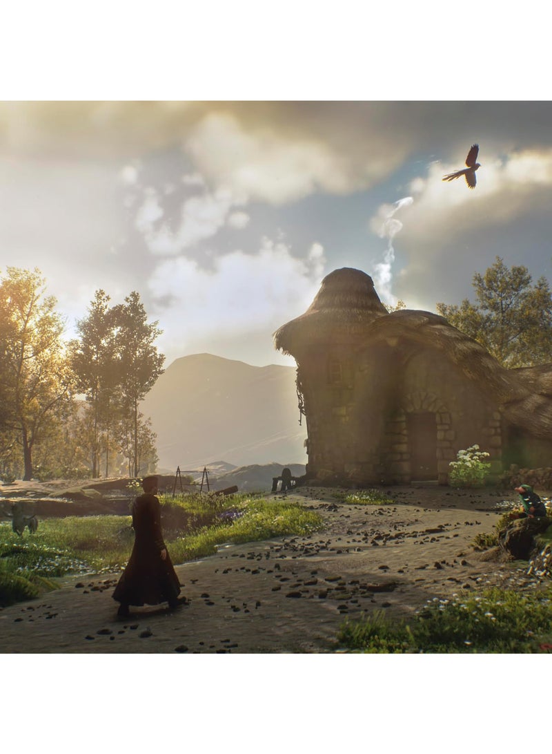 Hogwarts Legacy - Nintendo Switch