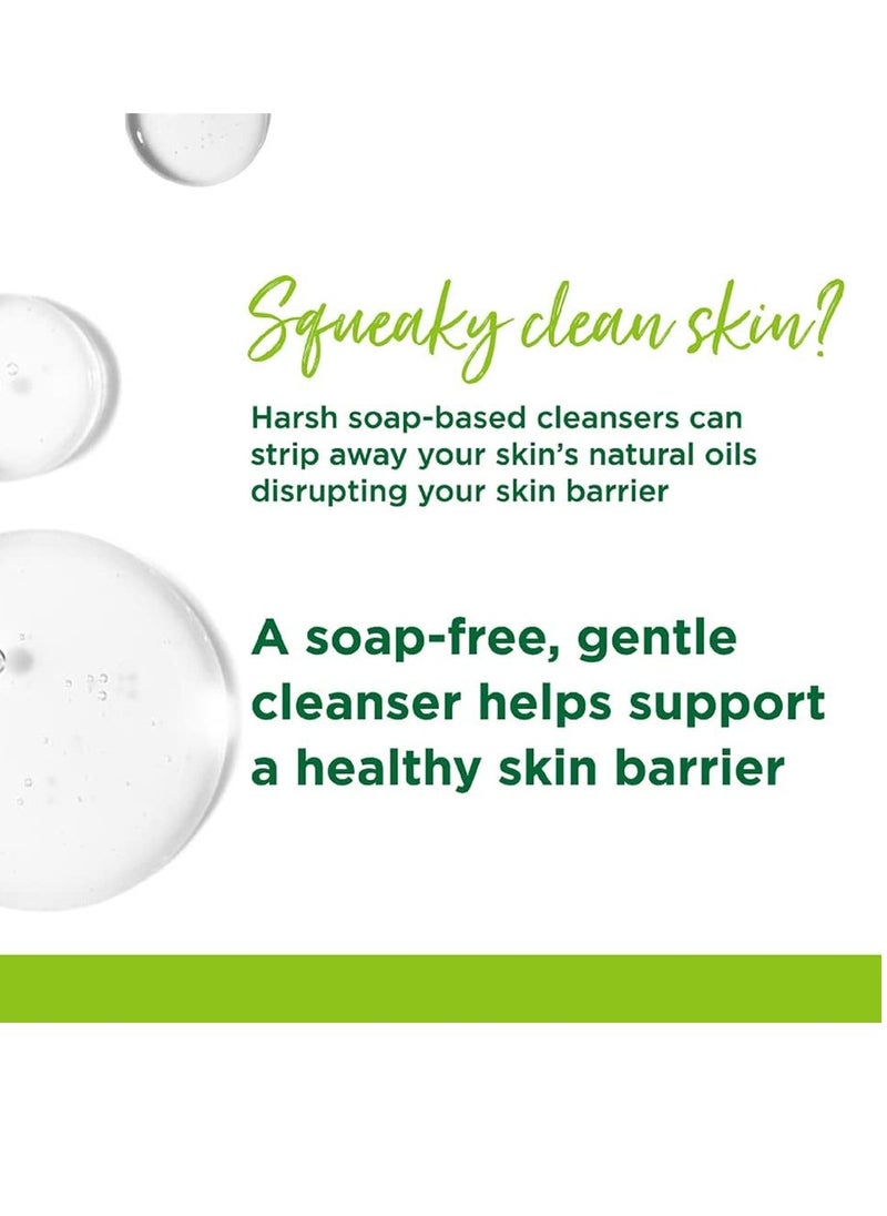 Simple refreshing facial gel wash 150 ml 5.1 oz (pack of 2) (2)