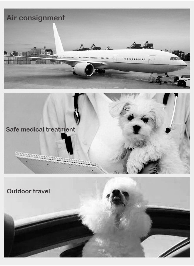 Pet Transport Box, Hard-Sided, Pet Carrier Cat Travel Kennel, Airline Approved Box, Travel Carriers, Trips Outdoor, Small Kitten Puppy Dog Sleeping, Grey 46x33x31 Cm