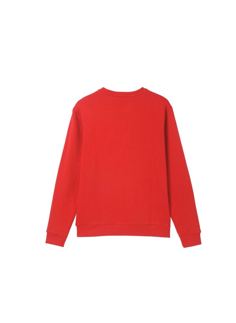 International Nurse Day Sweatshirt For Women-Full Sleeve|Cotton Fabric|Round Neck|Ideal For International Nurse Day,Sports
