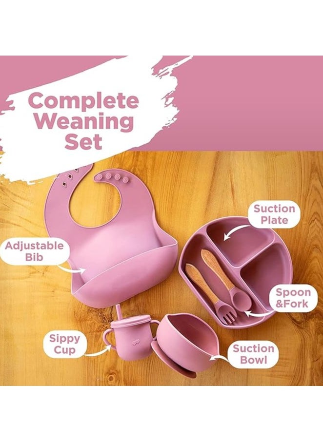 S2C 6 Pcs Silicone Baby Feeding Set, Baby Led Weaning Set, Feeding Supplies for Toddlers New Born Baby Gift Set, Suction Silicone Baby Plate with Divider,Baby Feeder,Bib,Spoon (PINK)