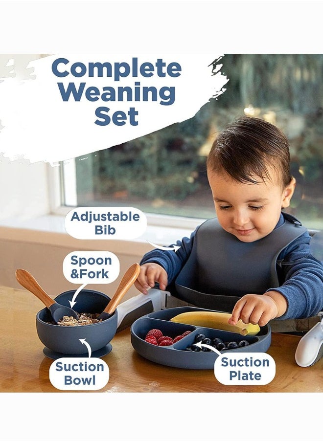 5 Pcs Silicone Baby Feeding Set, Baby Led Weaning Set, Feeding Supplies for Toddlers New Born Baby Gift Set, Suction Silicone Baby Plate with Divider,Baby Feeder,Bib,Spoon