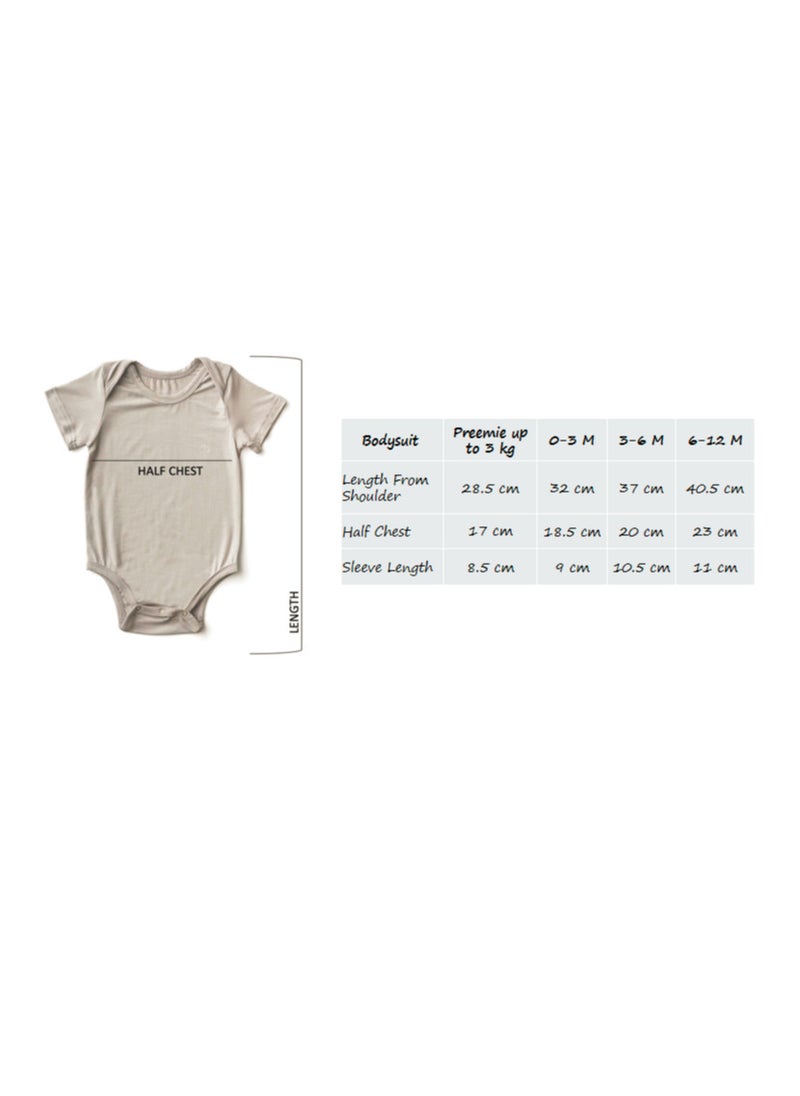 Set of 3 Organic Bamboo Spandex Bodysuit- Gift Set - Light Mint/Lemon/ White 0-3M