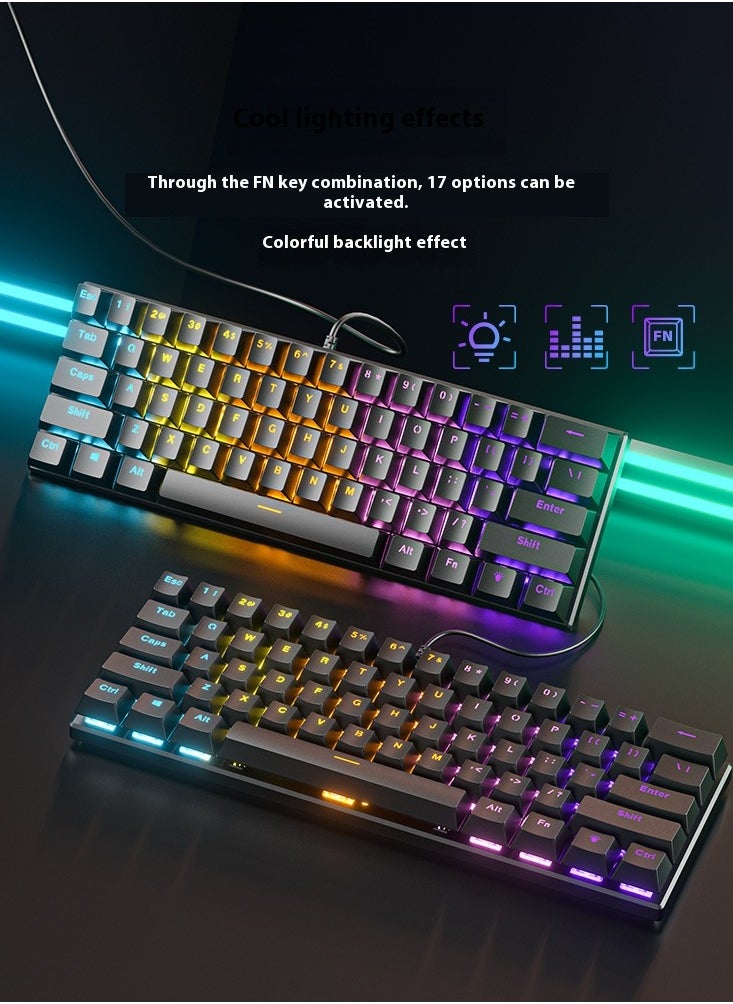 Mechanical Gaming Keyboard, BD61 Compact RGB Backlit Keyboard, Hot-Swappable Switches, USB Wired Connection, 17 Lighting Effects, Esports Keyboard