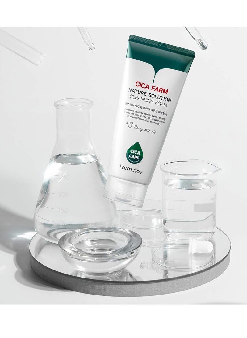 FARMSTAY CICA FARM NATURE SOLUTION CLEANSING FOAM