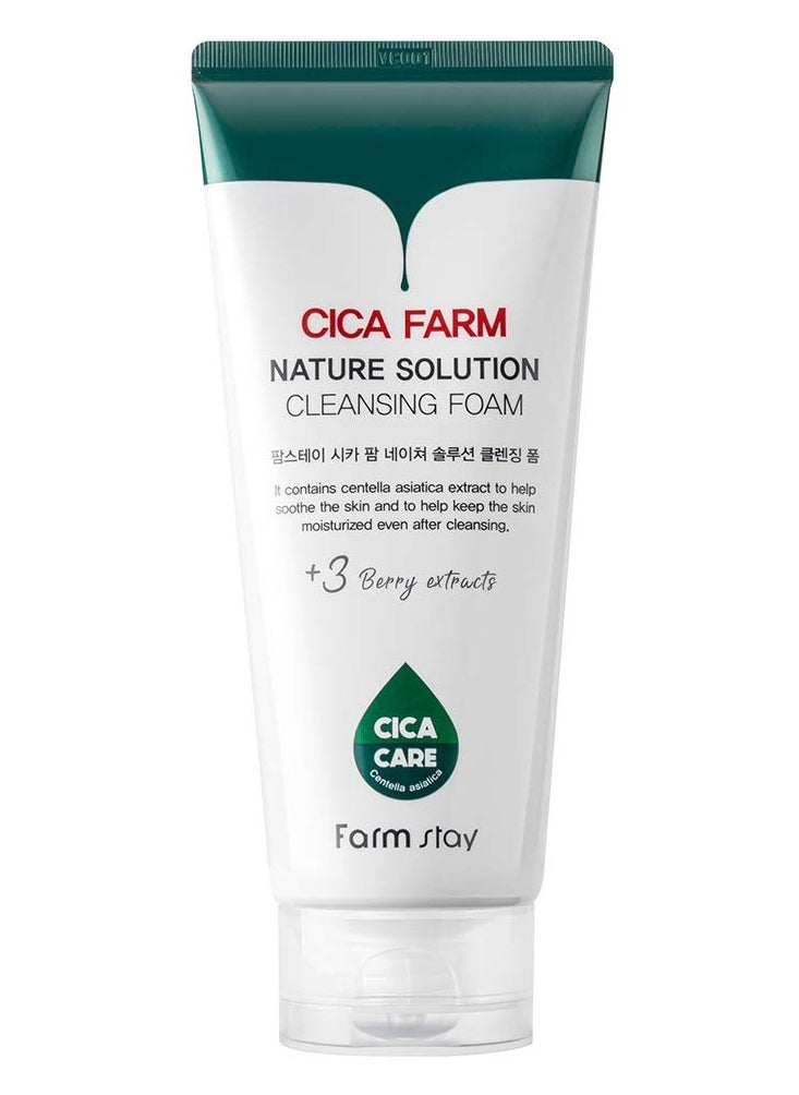 FARMSTAY CICA FARM NATURE SOLUTION CLEANSING FOAM