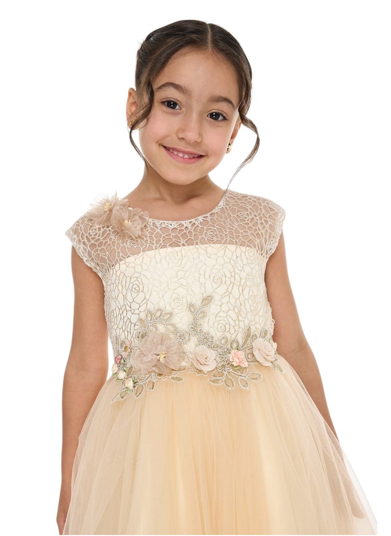 Champagne Lace And Tulle Dress
