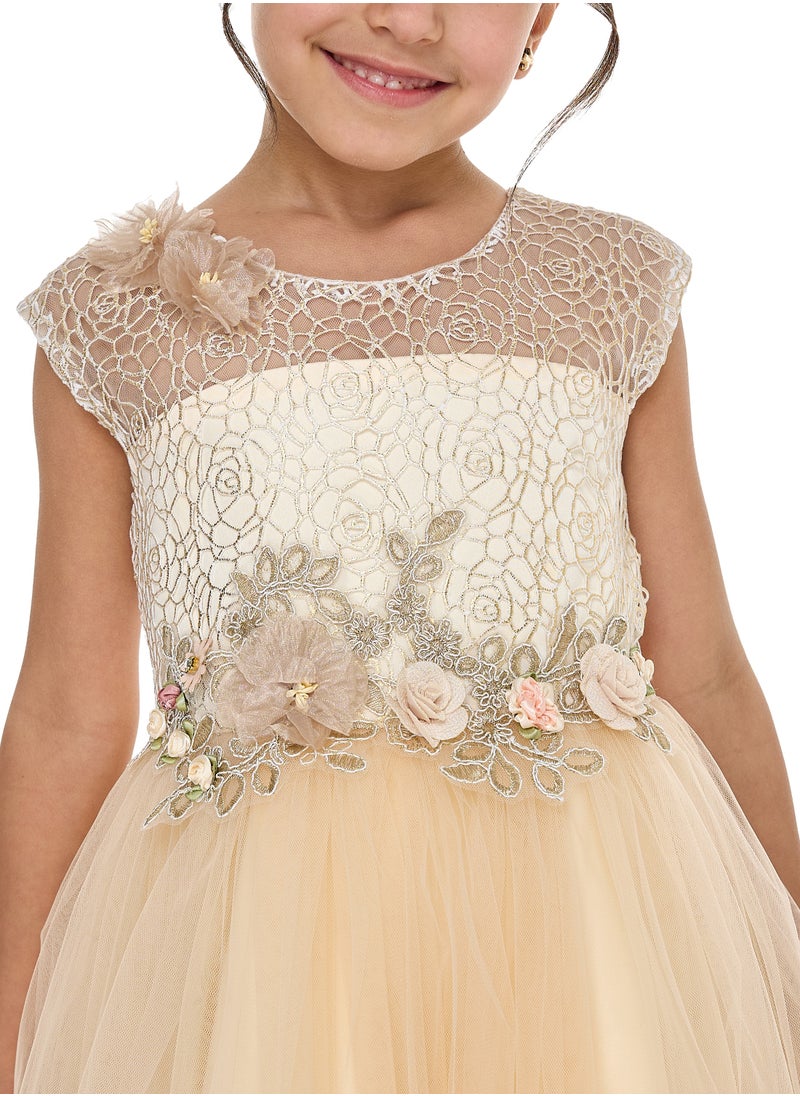 Champagne Lace And Tulle Dress
