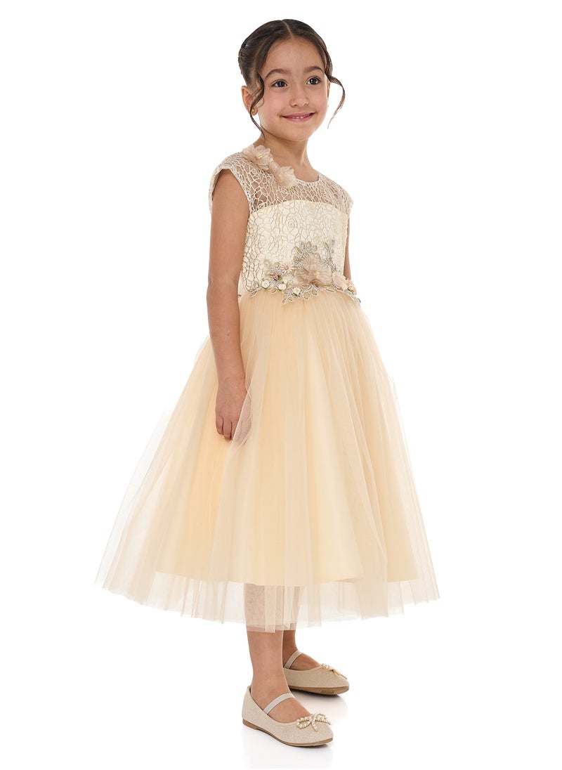 Champagne Lace And Tulle Dress