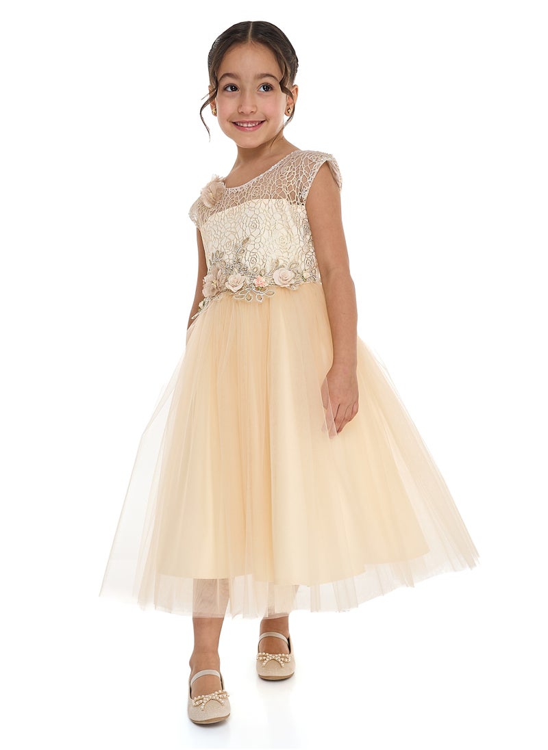 Champagne Lace And Tulle Dress