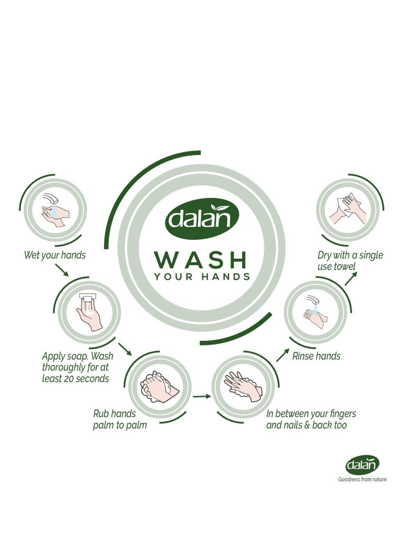 Dalan Coconut Oil Cream Ultra Moisturizing Liquid Hand Soap for Normal and Dry Hands Fresh Clean and Soft Feeling (13.5 Fl Oz / 400 mL (Pack of 3))