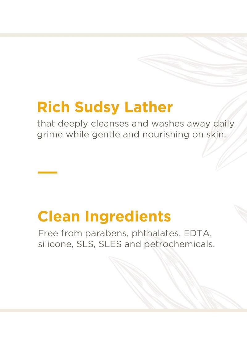 Soapbox Foaming Hand Soap Orange Zest & Fennel, 11oz Pump Bottles, 3 Pack, Cruelty Free, Vegan Moisturizing Foaming Hand Wash for Kitchen & Bathroom