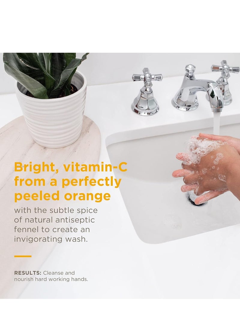 Soapbox Foaming Hand Soap Orange Zest & Fennel, 11oz Pump Bottles, 3 Pack, Cruelty Free, Vegan Moisturizing Foaming Hand Wash for Kitchen & Bathroom