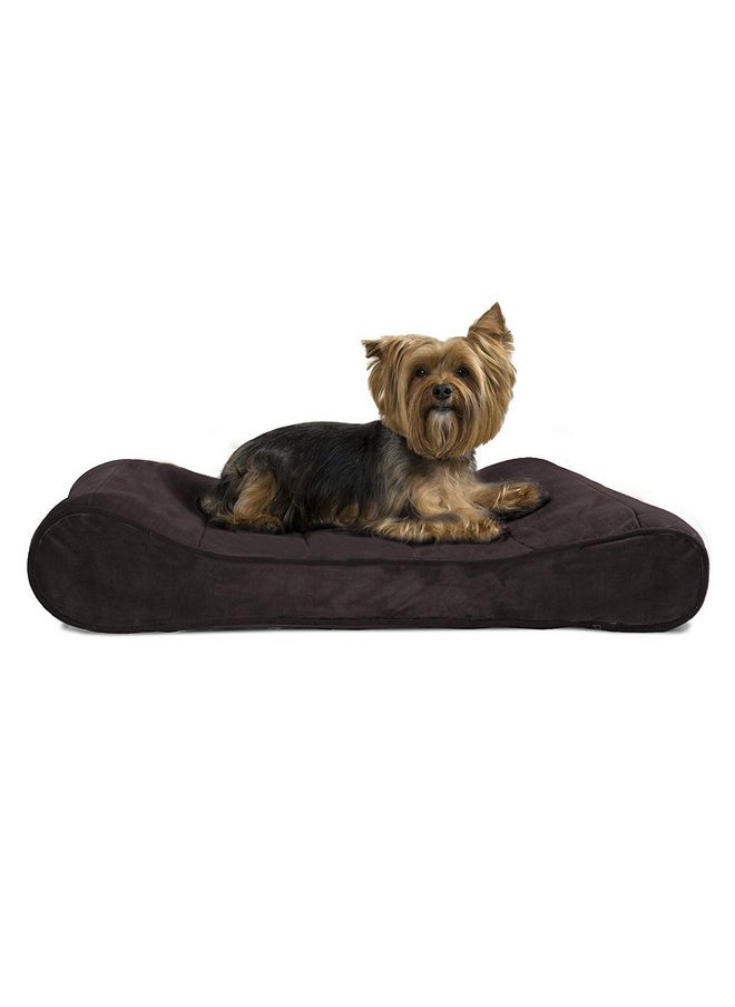 Furhaven Orthopedic Dog Bed for Medium/Small Dogs w/ Removable Washable Cover, For Dogs Up to 23 lbs - Microvelvet Luxe Lounger Contour Mattress - Espresso, Medium