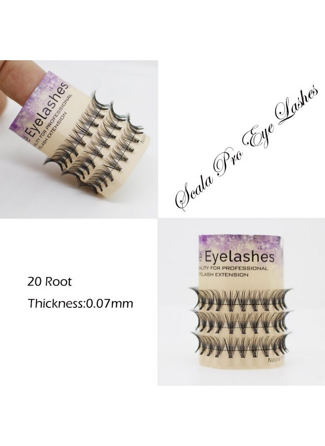 Beauty Natural Long 20 Root 0.07 C Curl 3D Profession Individual Eyelashes Extension Soft Black Fake False Eye Lashes Tools 8-20Mm To Choose (14Mm)