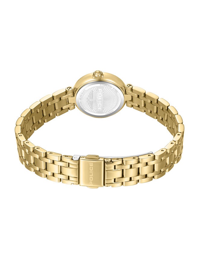 Women's Denali 36mm Watch with Silver Dial, Gold-Plated Hands & Gold-Plated 316L Stainless Steel 5-Link Bracelet
