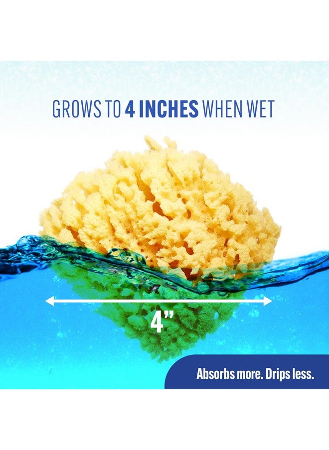 Natural Yellow Sea Sponge, Newborn Bath Time Essential, Soft And Gentle For Tender Skin, Hypoallergenic And Biodegradable, 1 Pack