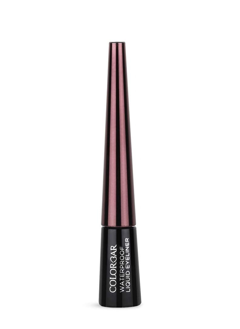 Waterproof Opaque Liquid Eyeliner Black 25ml Smudge Proof Long Lasting Flexible Applicator