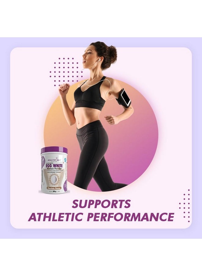 HealthyHey Nutrition 100% Egg White Protein - Instant Mix - 80% Protein - Non GMO & Lactose Free - 500g (Chocolate), 15 Servings