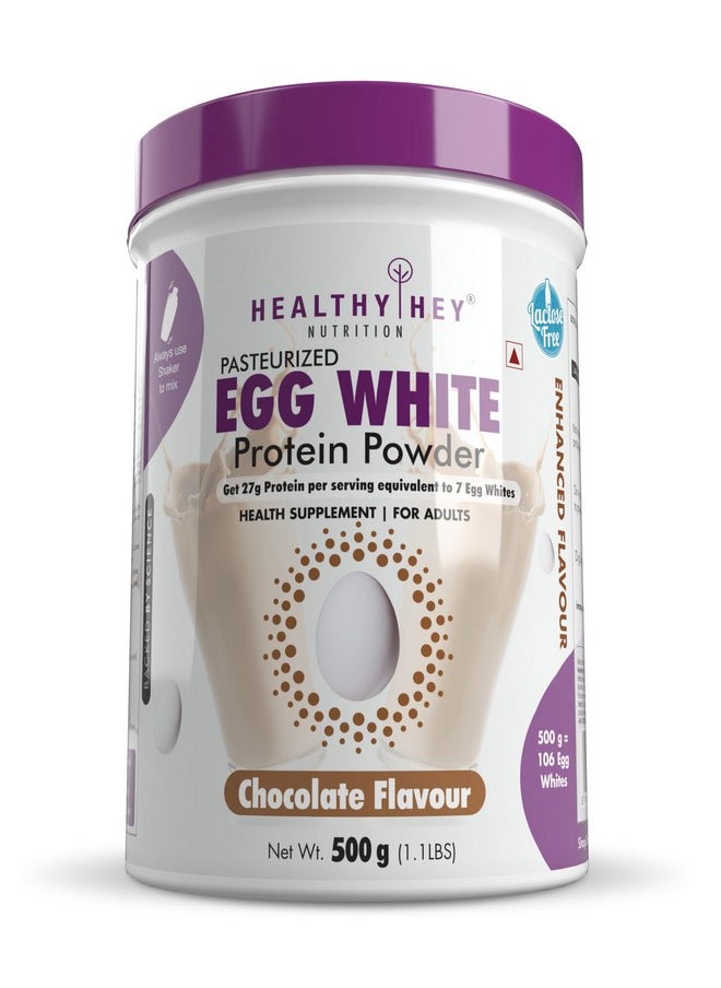 HealthyHey Nutrition 100% Egg White Protein - Instant Mix - 80% Protein - Non GMO & Lactose Free - 500g (Chocolate), 15 Servings