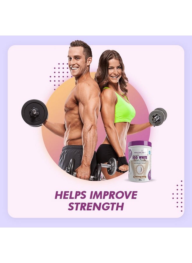 HealthyHey Nutrition 100% Egg White Protein - Instant Mix - 80% Protein - Non GMO & Lactose Free - 500g (Chocolate), 15 Servings