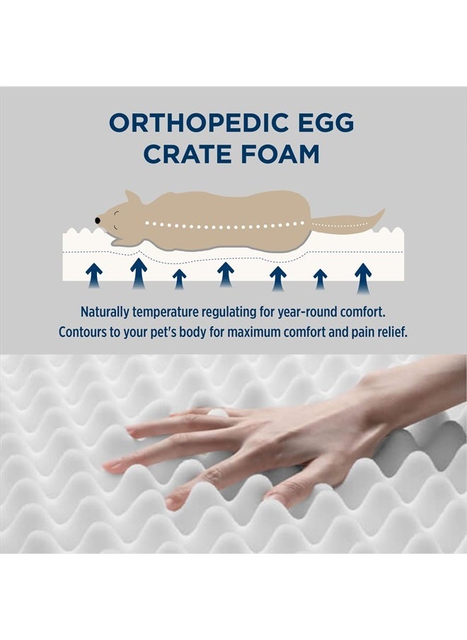 Dog Bed for Large Dogs - Orthopedic Waterproof Puppy Beds with Removable Washable Cover, Egg Crate Foam Pet Mat, Suitable for Pet Up to 65 lbs