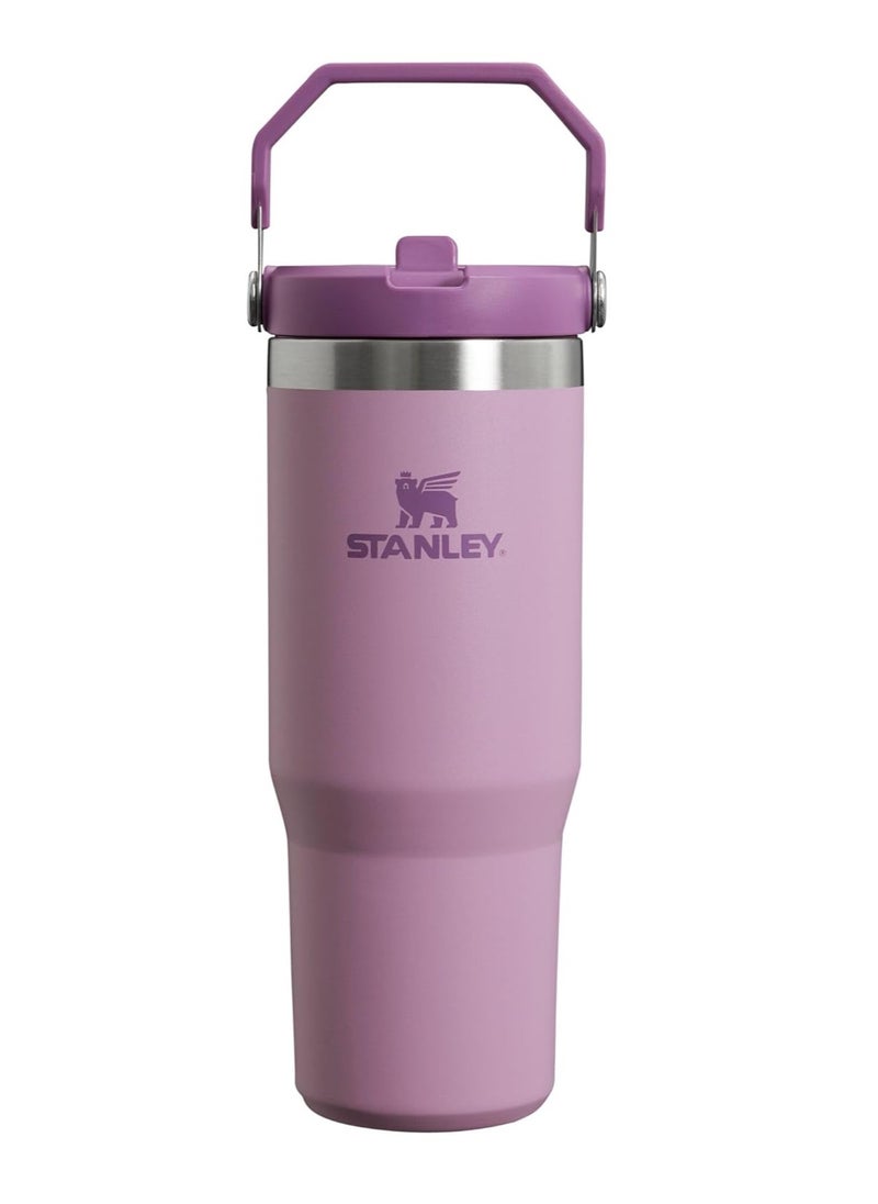 Stanley Ice Flow Stainless Steel Tumbler Vacuum Insulated Water Bottle for Home Office or Car Reusable Cup Straw Leakproof Flip