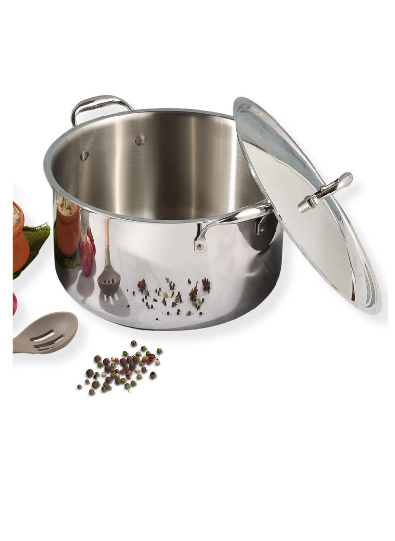 Vinod Platinum Triply Stainless Steel Biryani/Sauce Pot with Lid - 11 Liters, 30 cm, Silver