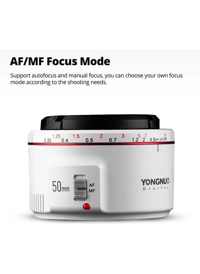 YONGNUO YN50MM F1.8 II Lens for Canon EF Mount, 50mm F1.8C Large Aperture, AF/MF Standard Prime Lens for Canon,58mm Filter,0.35m Focus Distance (YN50MM F1.8C II White)