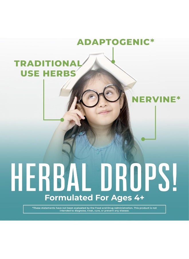 Kids Focus Support Supplement by MaryRuth's, Natural Brain Support Vitamin, Adrenal Complex with Astragalus Root, Gingko Leaf & Wood Betony Herb, 1 Month Supply, 1 Fl Oz