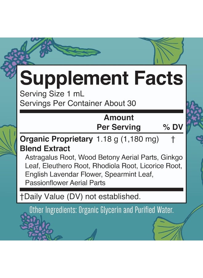 Kids Focus Support Supplement by MaryRuth's, Natural Brain Support Vitamin, Adrenal Complex with Astragalus Root, Gingko Leaf & Wood Betony Herb, 1 Month Supply, 1 Fl Oz
